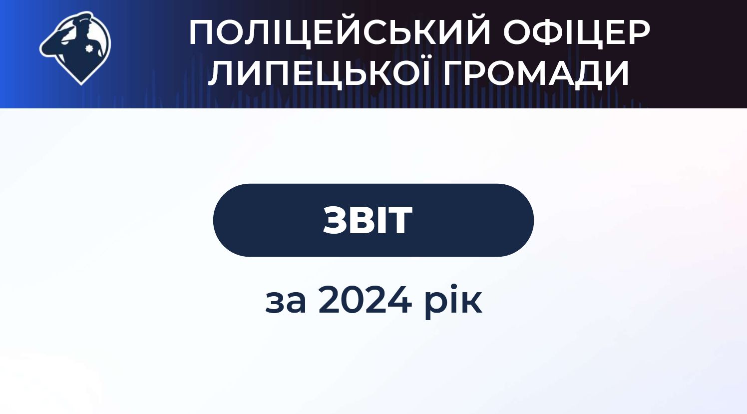 Скриншот зі звіту 30 евакуйованих дітей, 85 поставок гуманітарки, 156 розглянутих матеріалів: «шериф» Липецької громади відзвітував за 2024 рік на порталі Gromada Group
