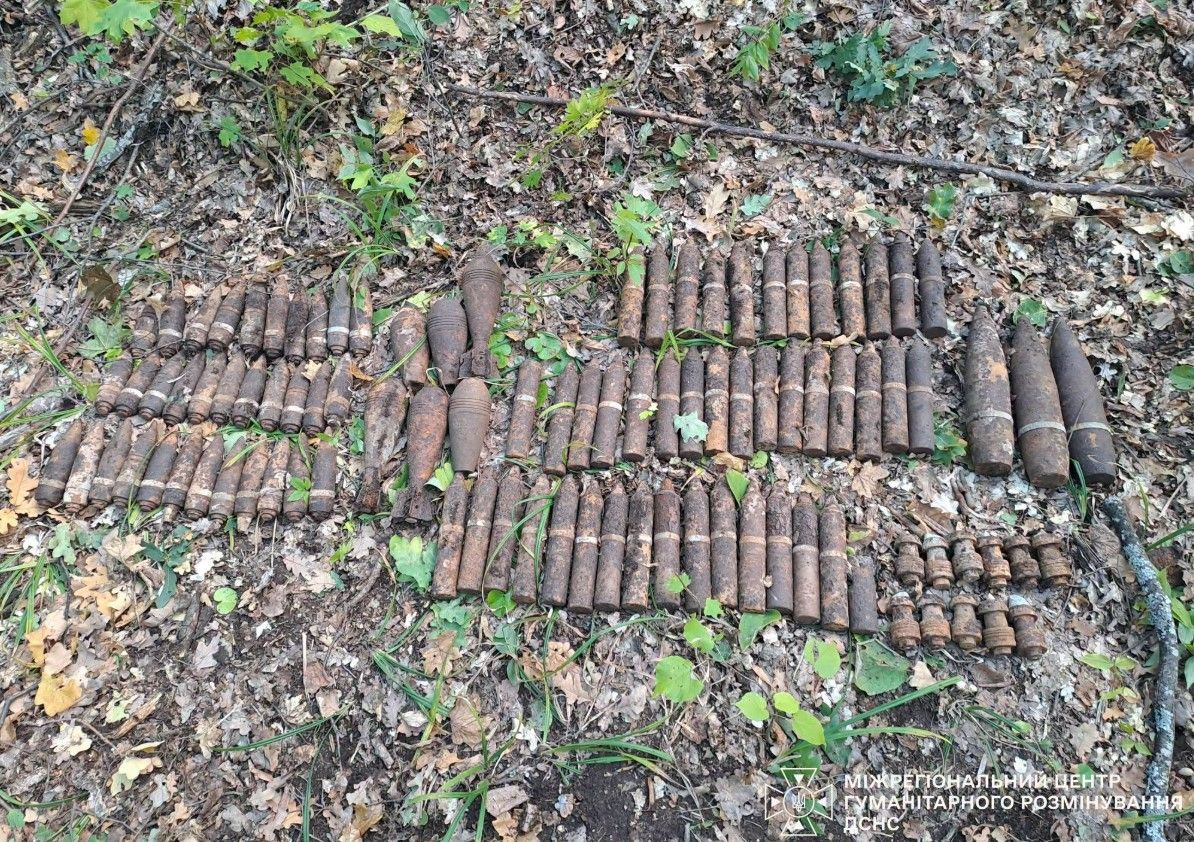У лісі біля Таранівки грибник знайшов 97 боєприпасів часів Другої світової війни - фото 1