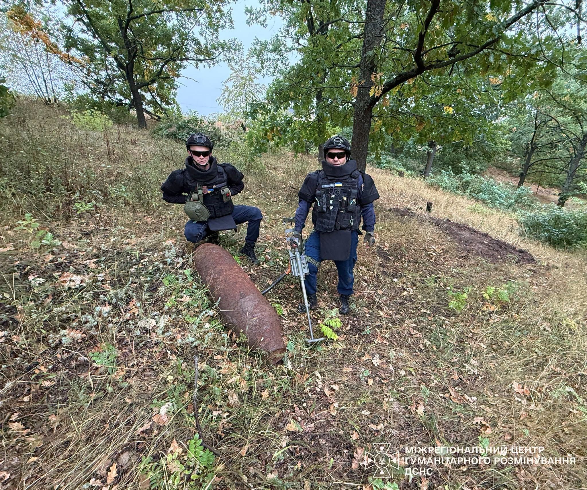 У лісі біля Таранівки грибник знайшов 97 боєприпасів часів Другої світової війни - фото 2
