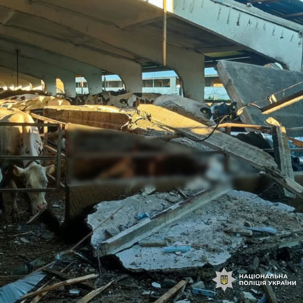 Минулої доби через ворожі обстріли постраждало дев’ятеро цивільних людей, один з них — поліцейський - фото 5