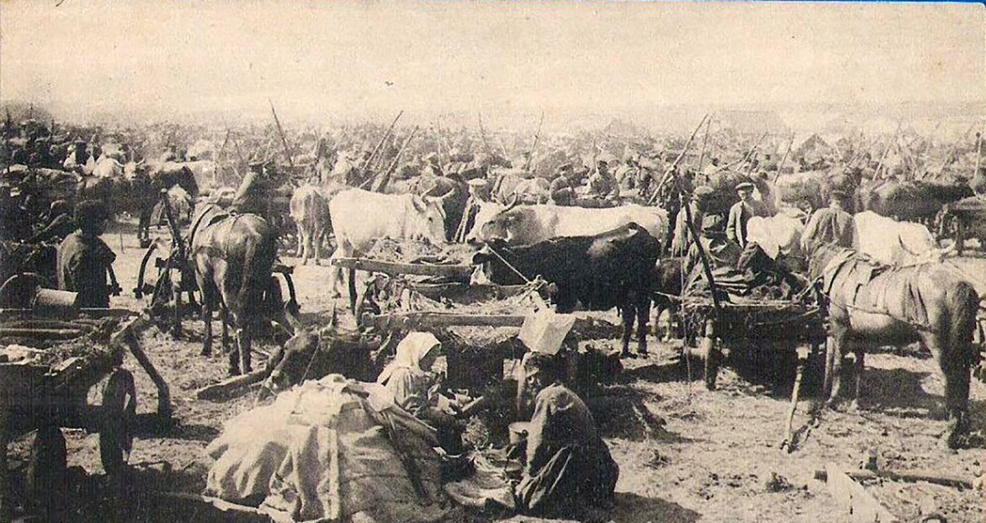 «Поведу на Пісок»: як щедрували у Липцях і до чого тут ярмарок на порталі Gromada Group