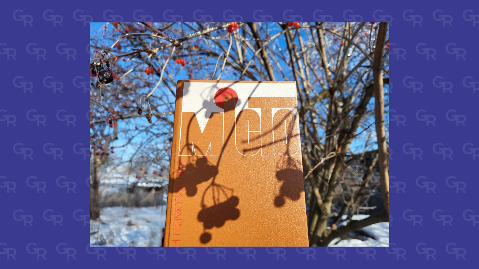 Квартирант, який у будинку  «Слово» облаштував пташник, щоб вижити, був автором роману «Місто»    на порталі Gromada Group