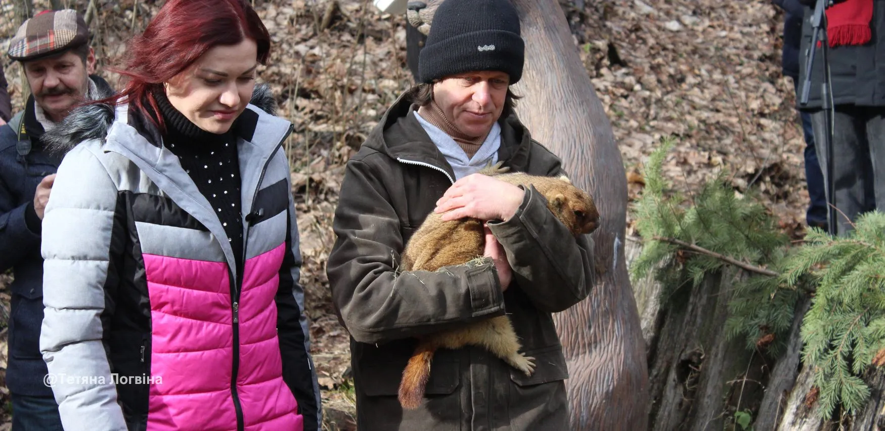 Віщування бабака Тимка. 2 лютого 2024 року. Фото: Тетяна Логвіна Бабак Тимко цьогоріч робив свій прогноз на весну дистанційно на порталі Gromada Group