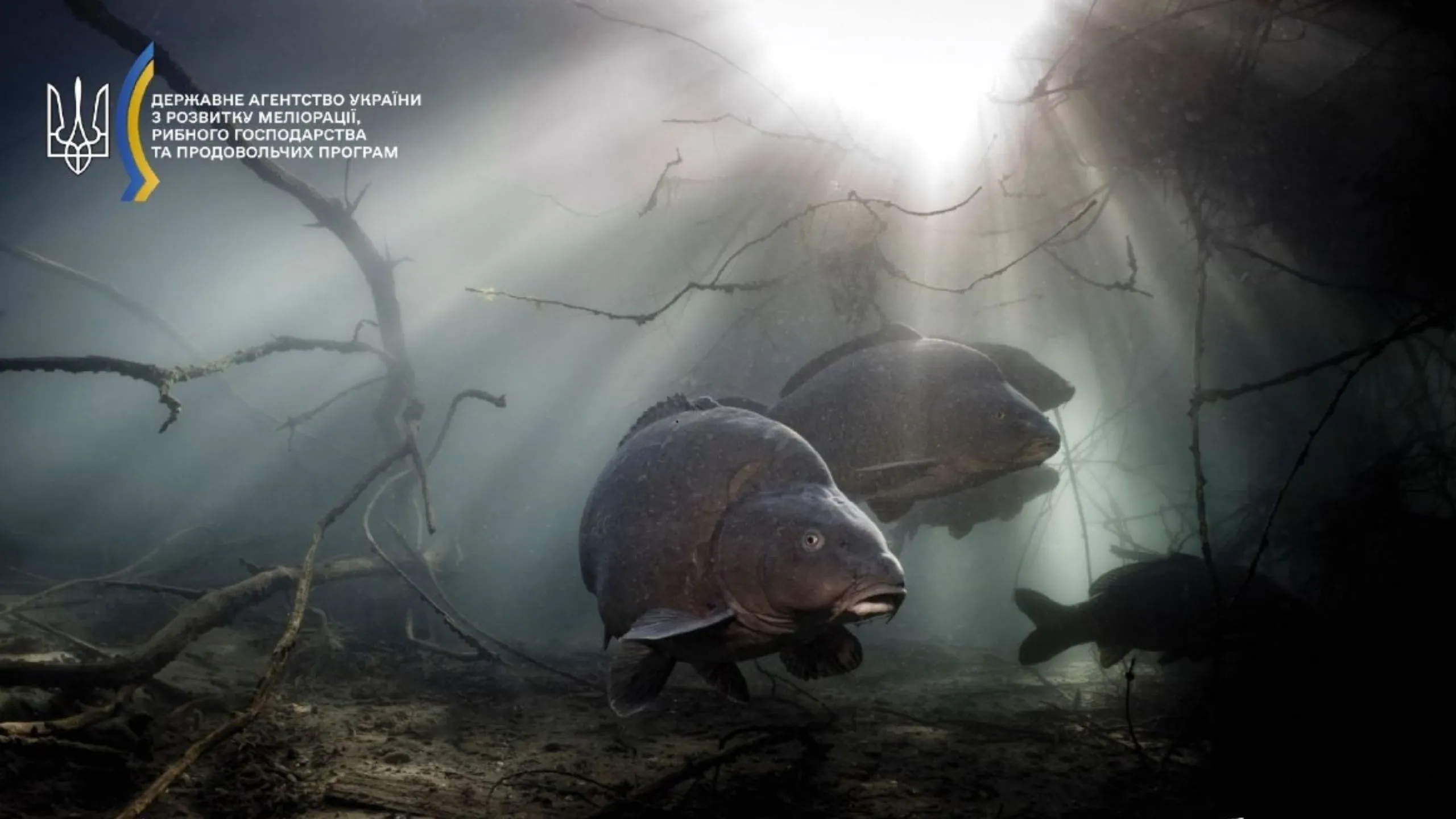 Attention fishermen: from November 1, fishing in wintering holes is prohibited at the Gromada Group Media