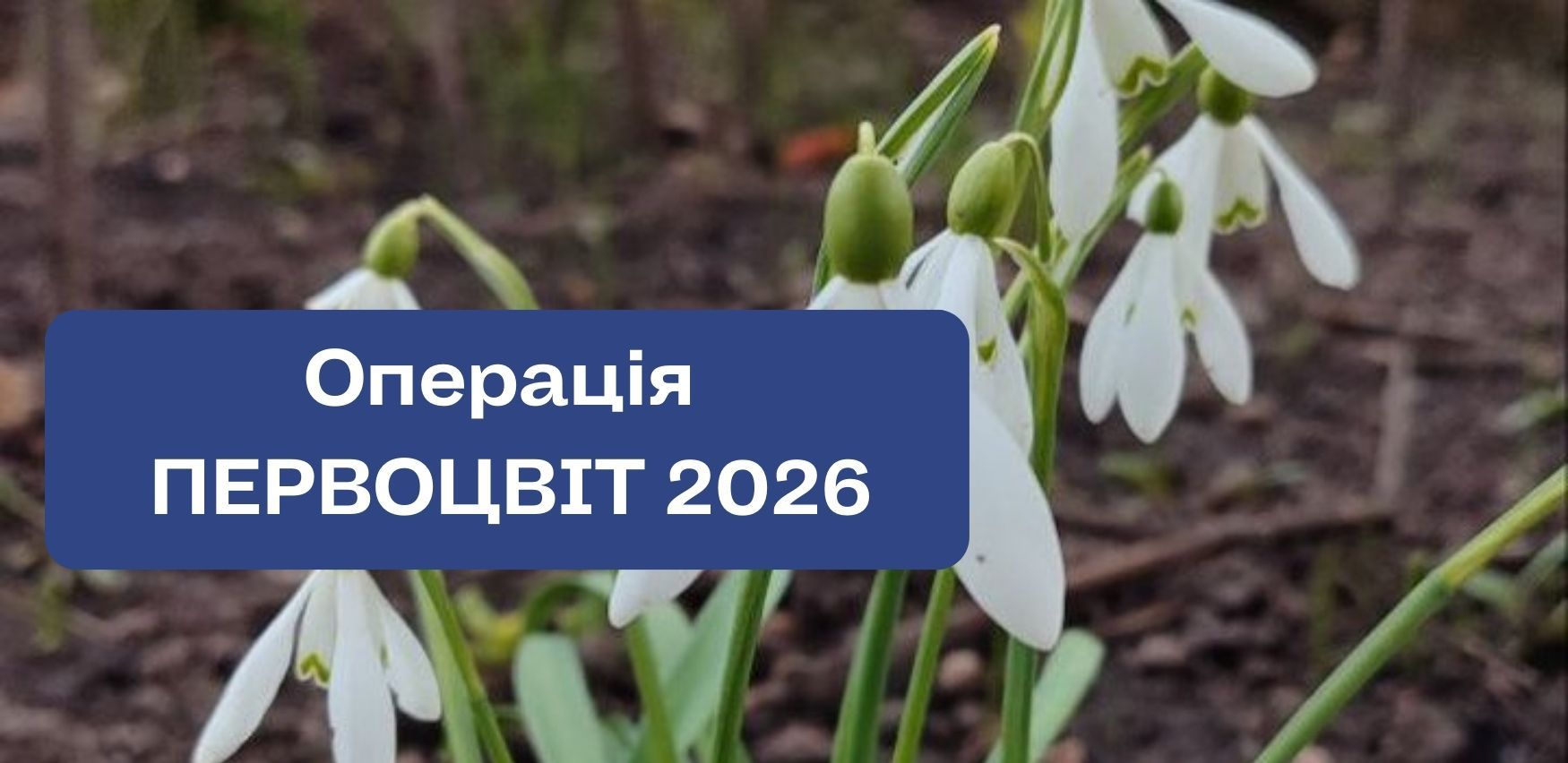 Gromada group media news