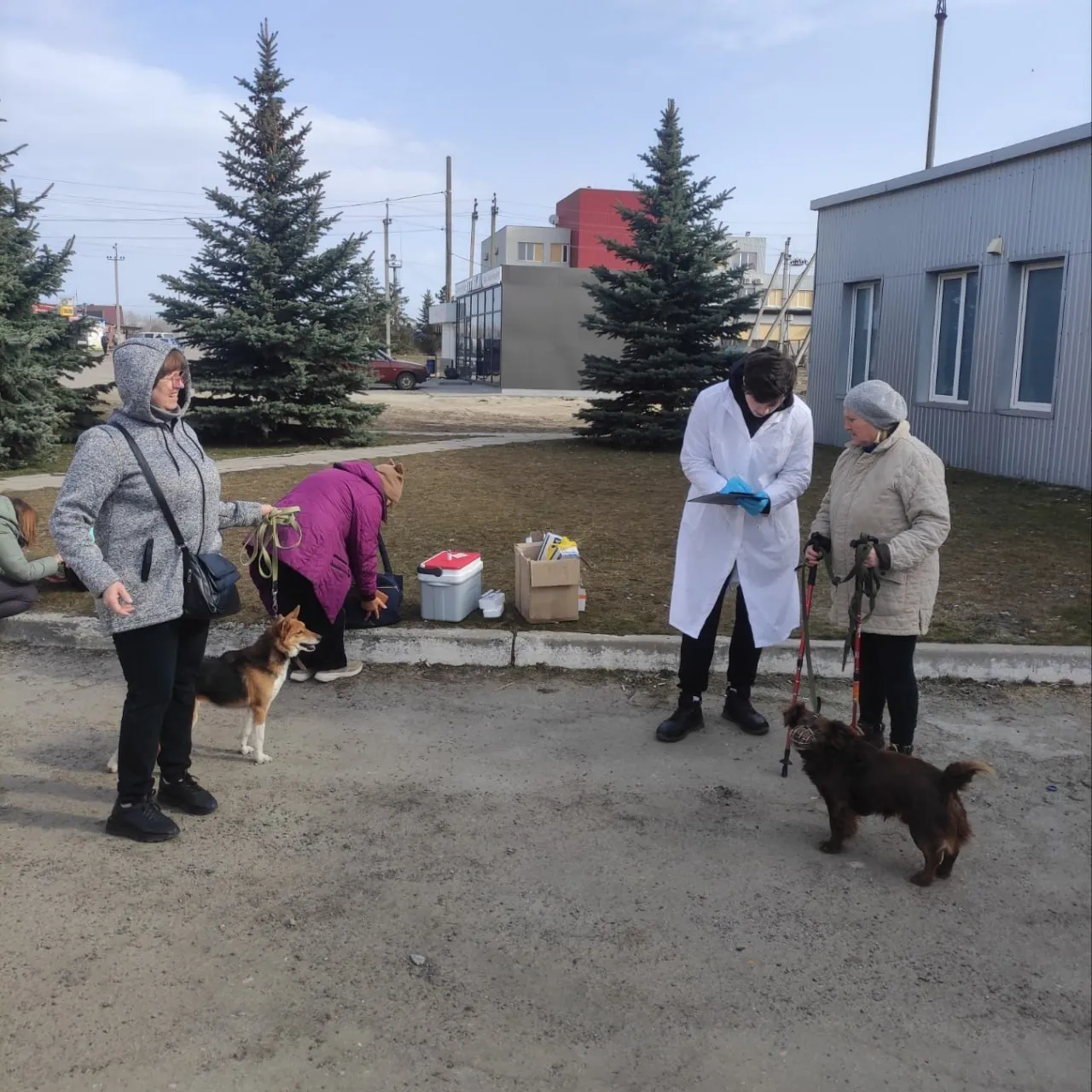 Фото: Держпродспоживслужба Майже 500 котів та собак щеплено проти сказу в березні на території Зміївської та Слобожанської громад на порталі Gromada Group