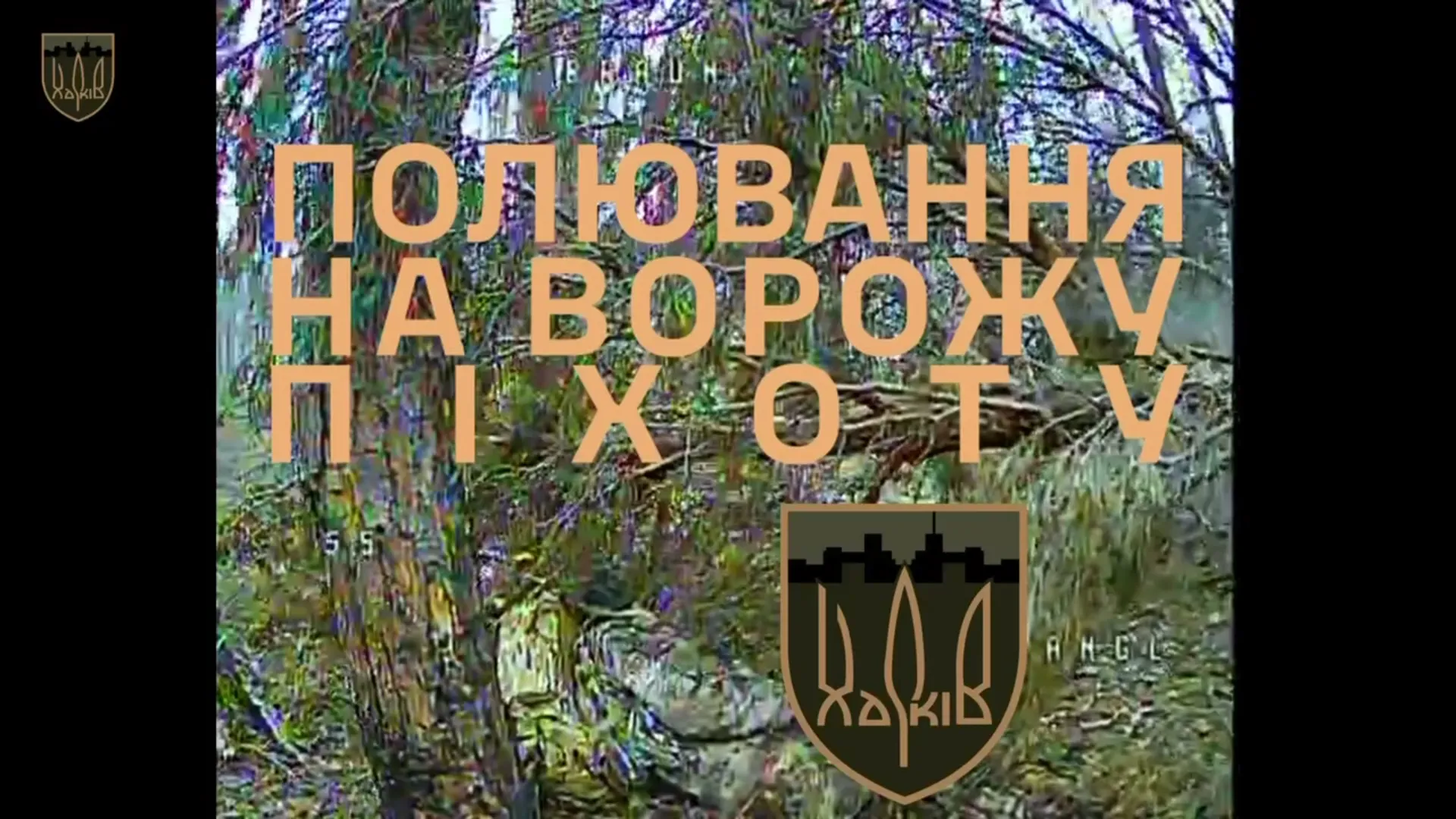 Скриншот з відео Полювання на ворожу піхоту: 127-ма бригада показала знищення чергових російських піхотягів на порталі Gromada Group