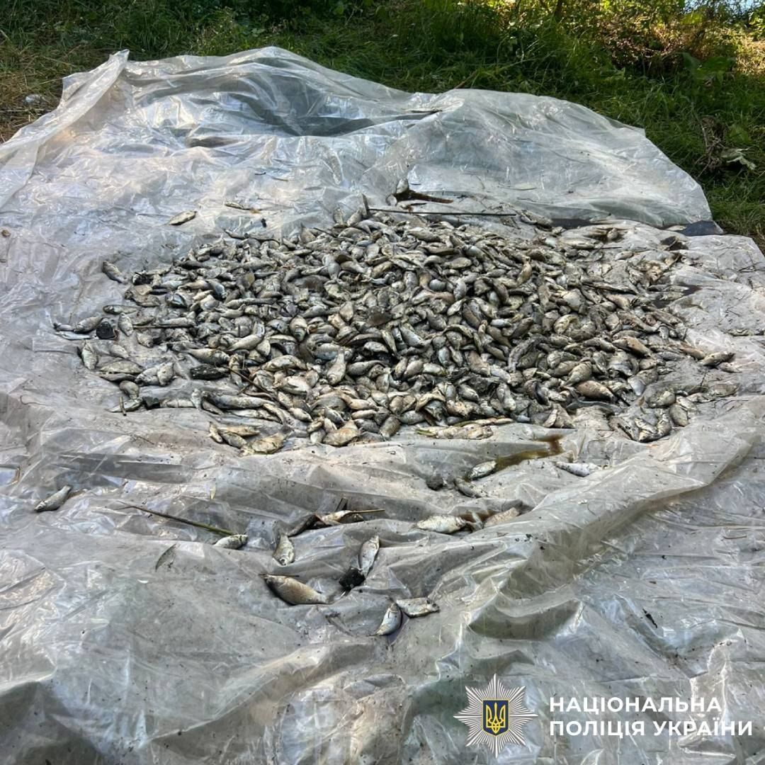 У Слобожанській громаді зафіксували масову загибель риби - фото 3