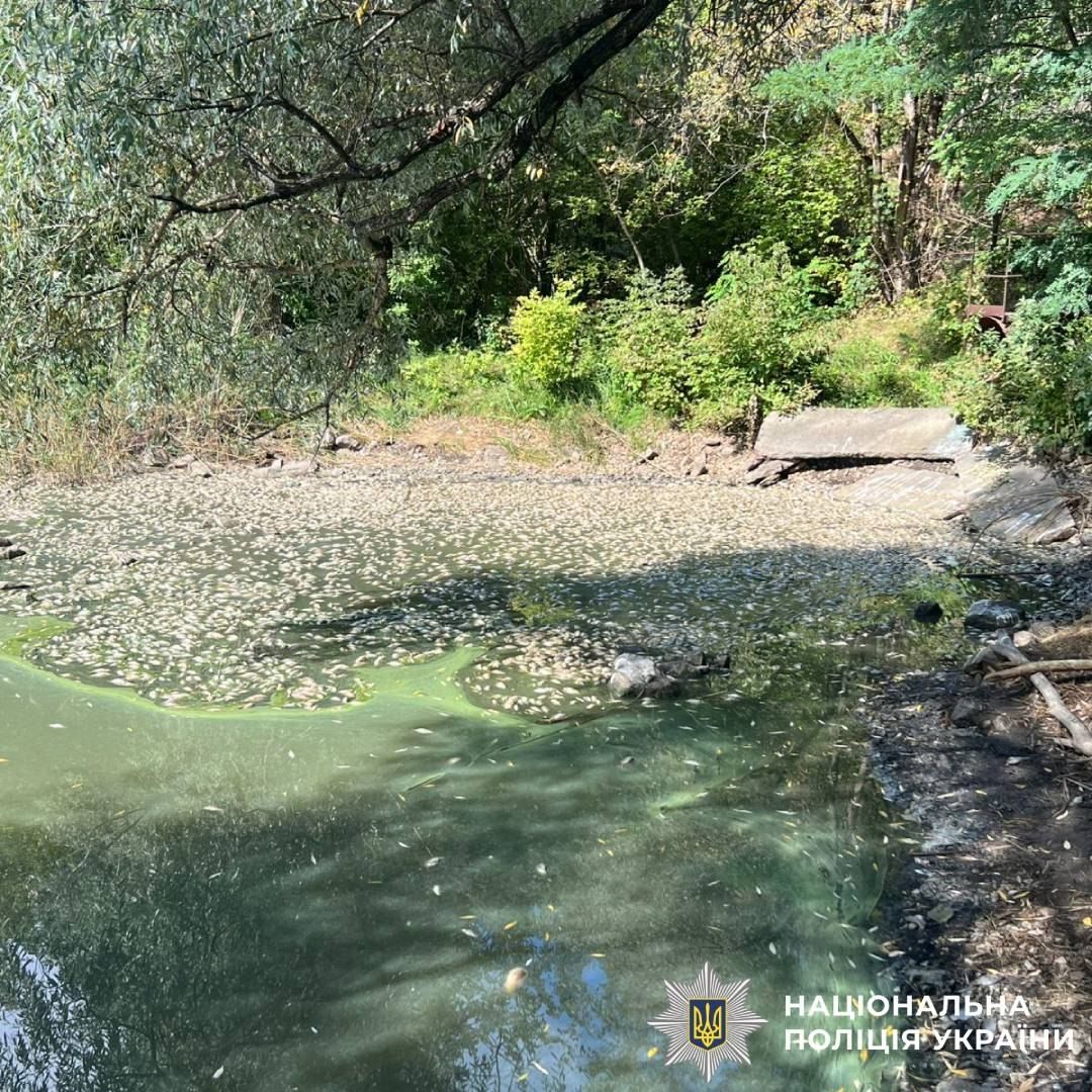 У Слобожанській громаді зафіксували масову загибель риби - фото 1