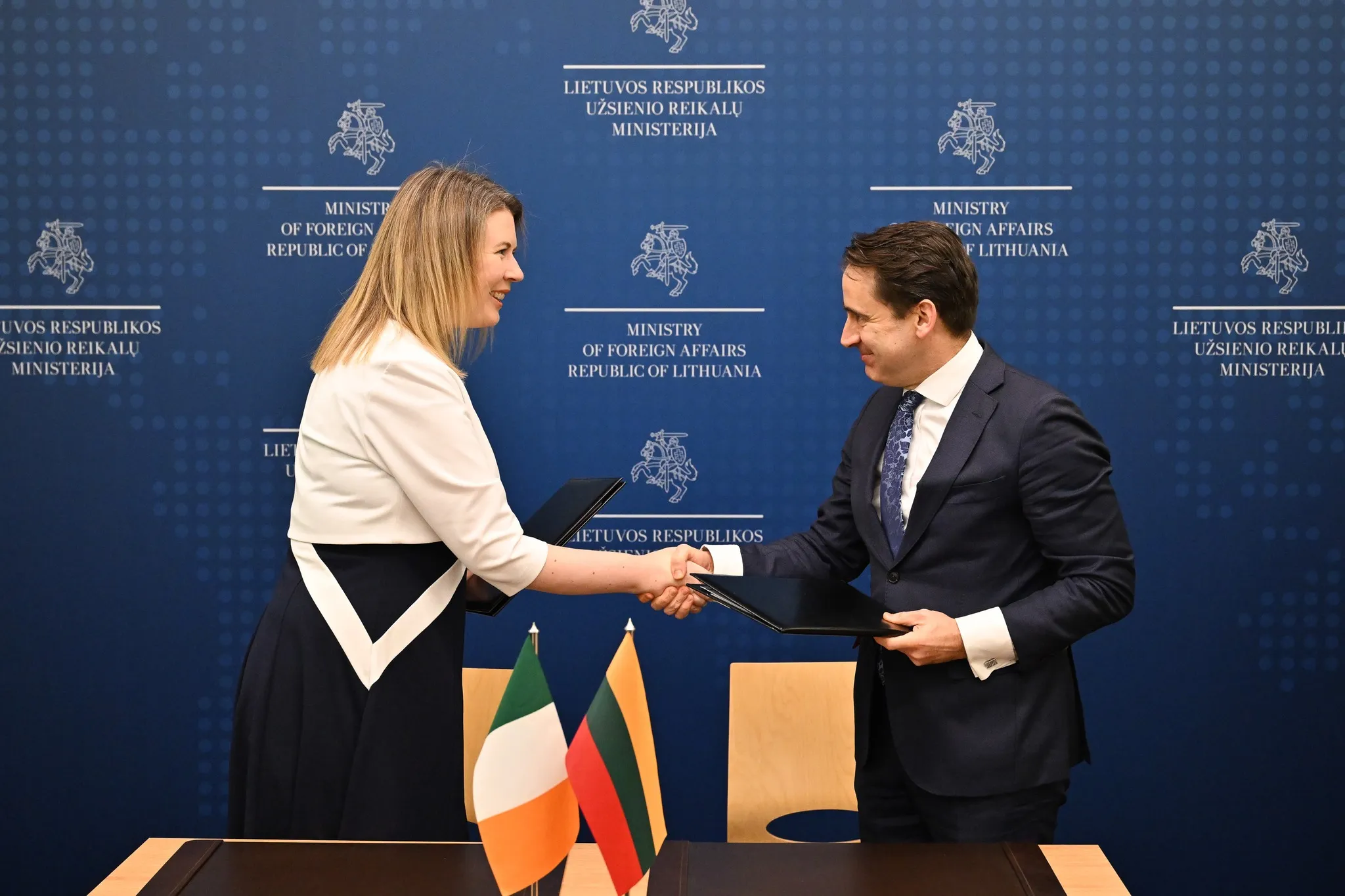 ЛLithuania and Ireland: Contribution to the Construction of the School of the Future of Ukraine at the Gromada Group Media