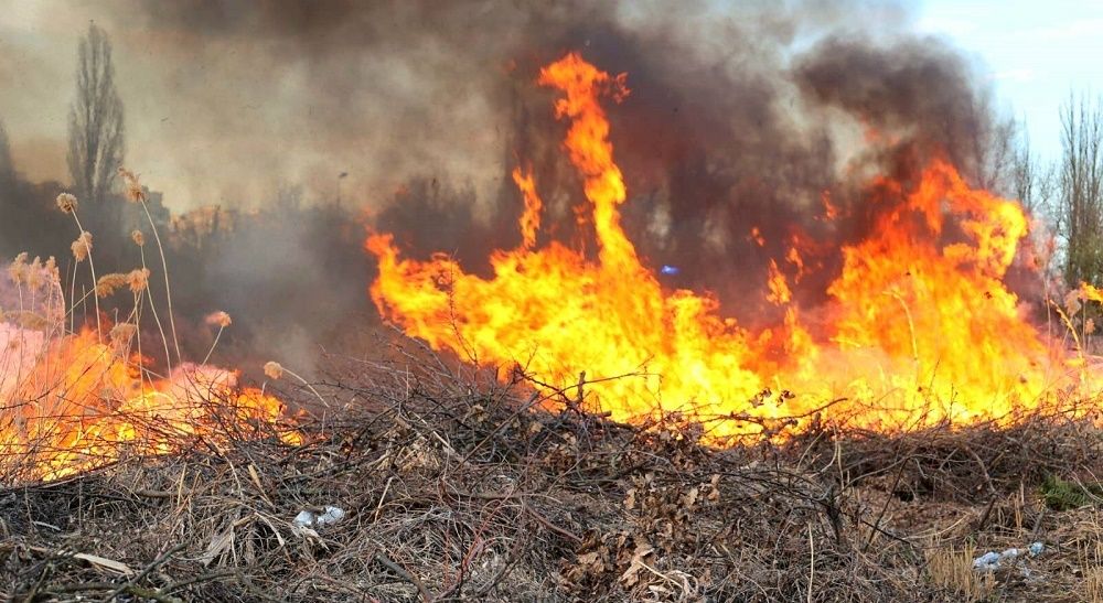On May 4, the enemy terrorized the Borova community at the Gromada Group Media