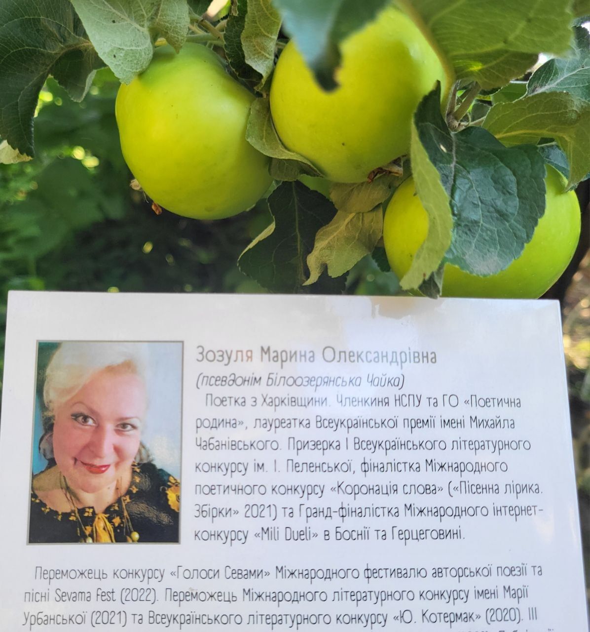 Де вчителька і ронделістка з Лимана знаходить «ліки від хаосу». Подкаст «Градусник» - фото 1