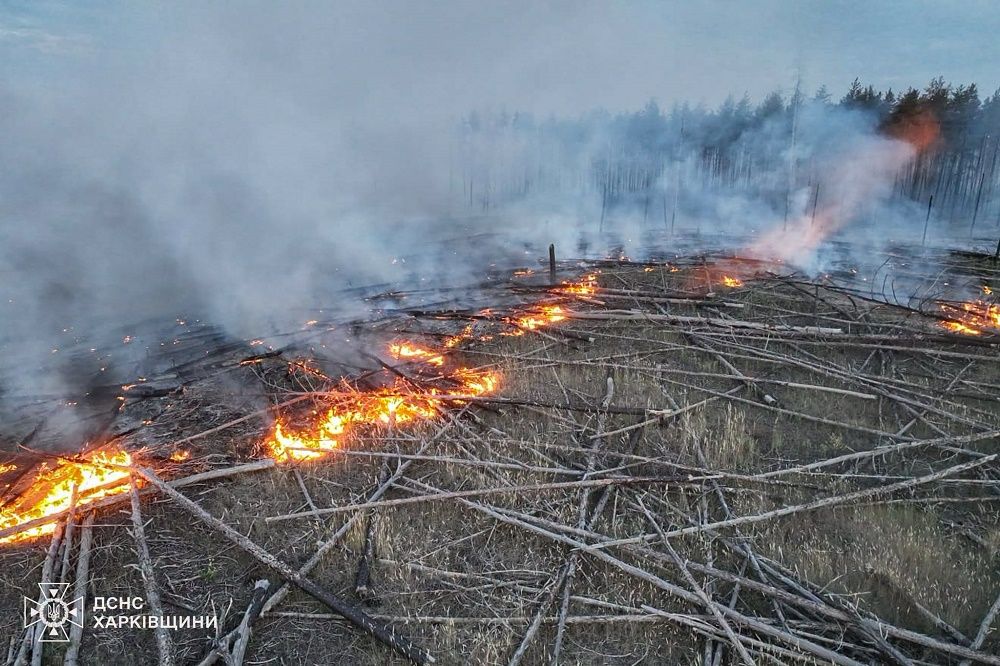 За минулу добу ворог атакував 25 населених пунктів Харківщини, включаючи місто Харків - фото 5
