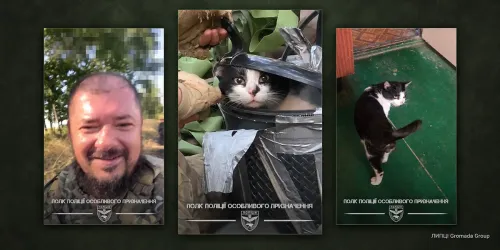 «Коту весело, мені нескучно»: неподалік Веселого Липецької громади спецпризначенці поліції Харківщини евакуювали з передової кота на порталі Gromada Group