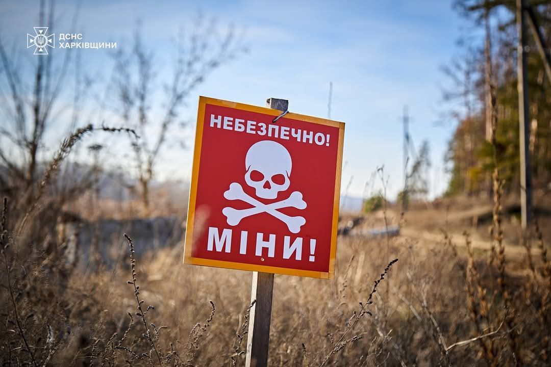 Фото: ДСНС Харківщини Непомітні й небезпечні. Рятувальники показали процес розмінування деокупованих територій Ізюмщини на порталі Gromada Group