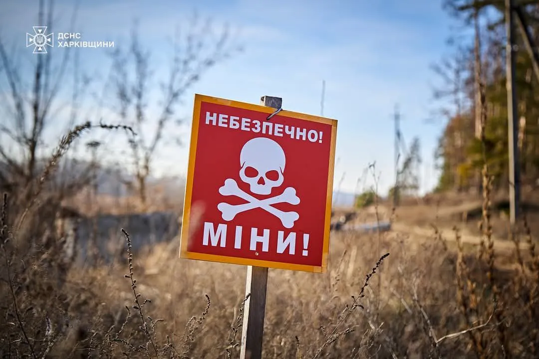 Фото: ДСНС Харківщини Непомітні й небезпечні. Рятувальники показали процес розмінування деокупованих територій Ізюмщини на порталі Gromada Group