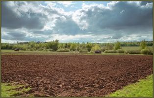 Gromada group media news