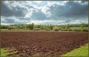 Ілюстративне фото Прокуратура повернула державі майже 600 гектарів землі на Зміївщині на порталі Gromada Group