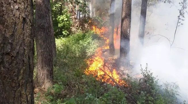 Борівська громада — під ворожим вогнем на порталі Gromada Group