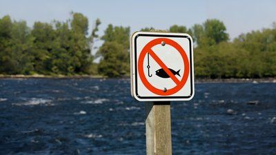 Gromada group media news