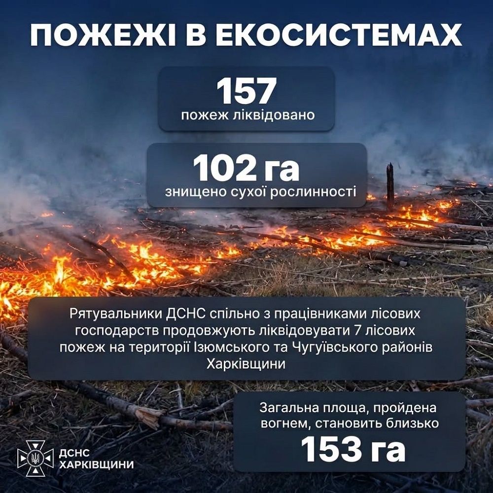 Минулої доби ворог спрямував на мирні населені пункти Харківщини більше 150 безпілотників - фото 3