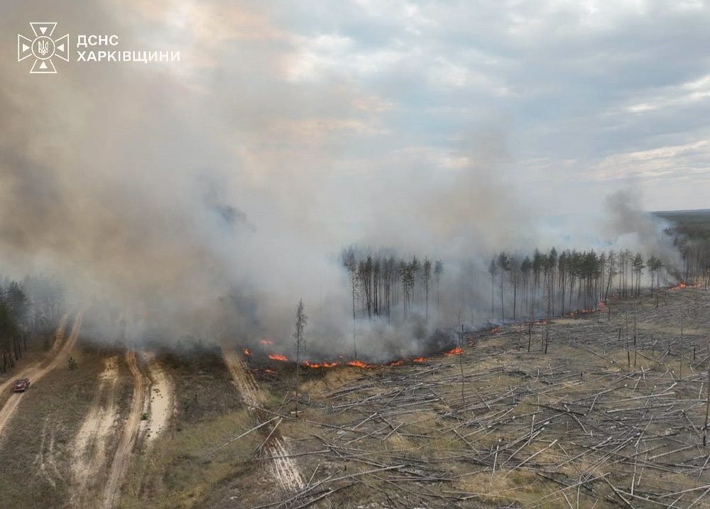 Минулої доби ворог спрямував на мирні населені пункти Харківщини більше 150 безпілотників - фото 6