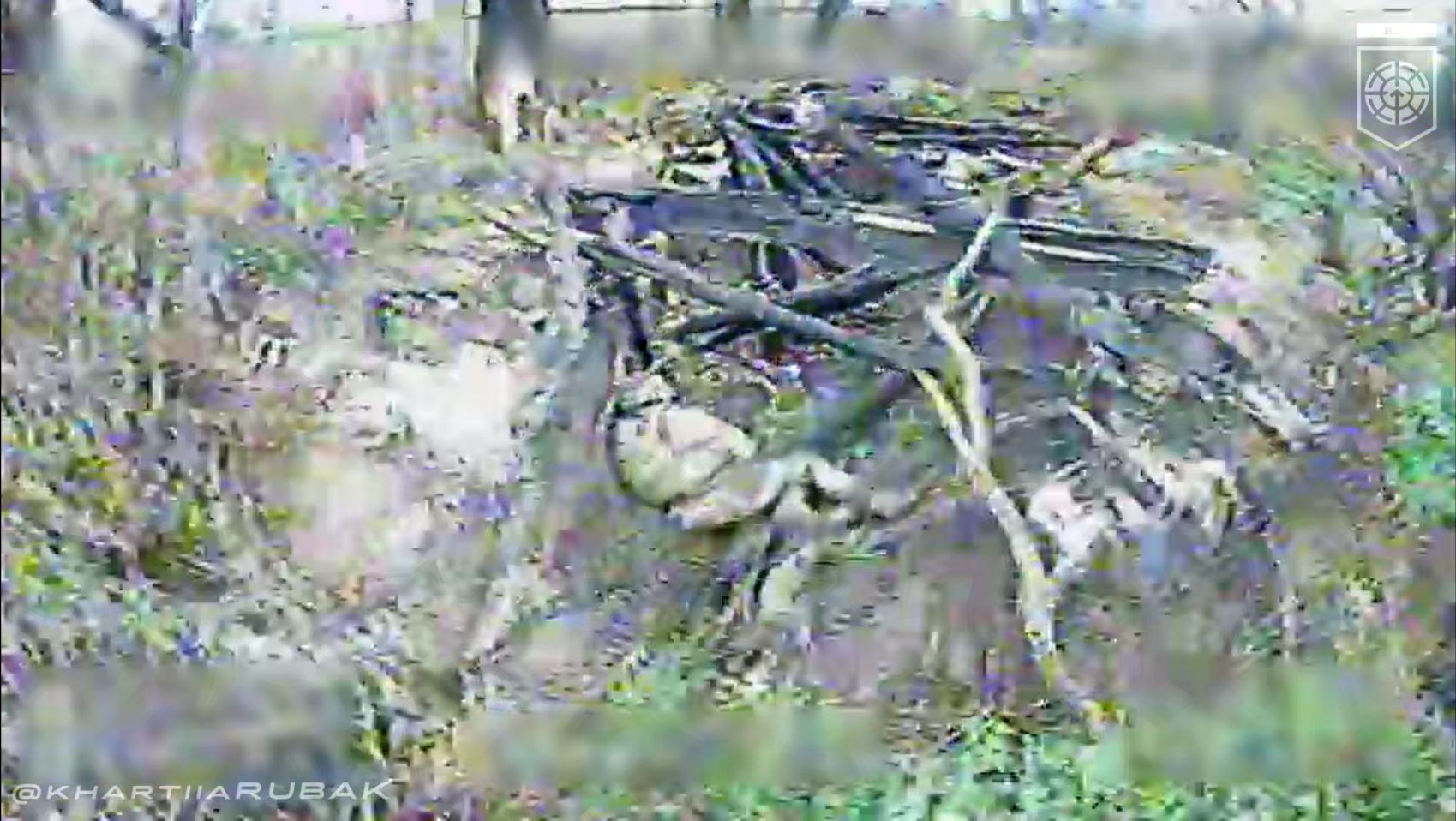 Поблизу Липців від «ВІЯ» окупантам не сховатися: у «Хартії» показали полювання на російських окупантів на порталі Gromada Group