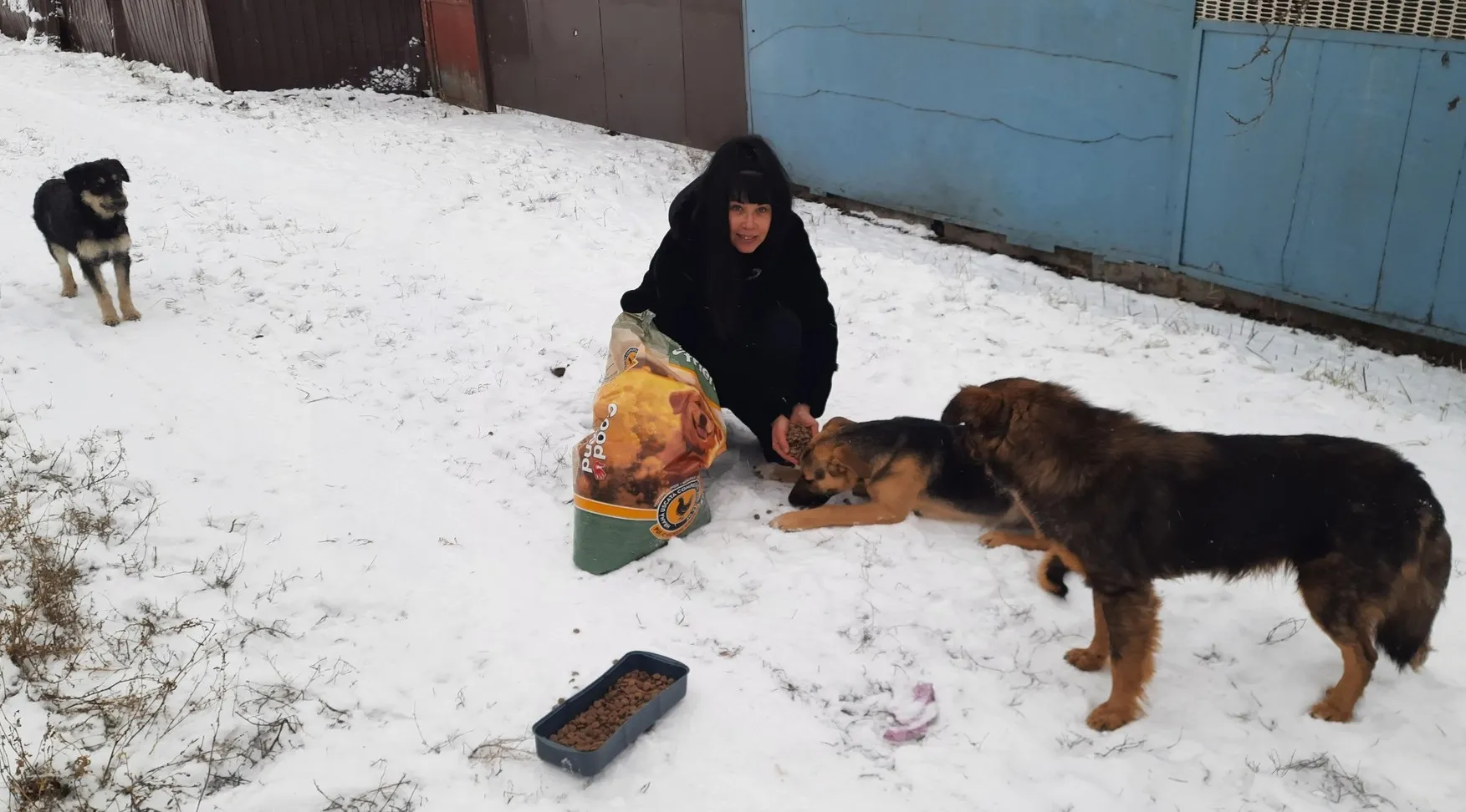 Philanthropists brought food to homeless pets from Prudyanka, Tsupivka, Dubivka and Kozacha Lopan at the Gromada Group Media