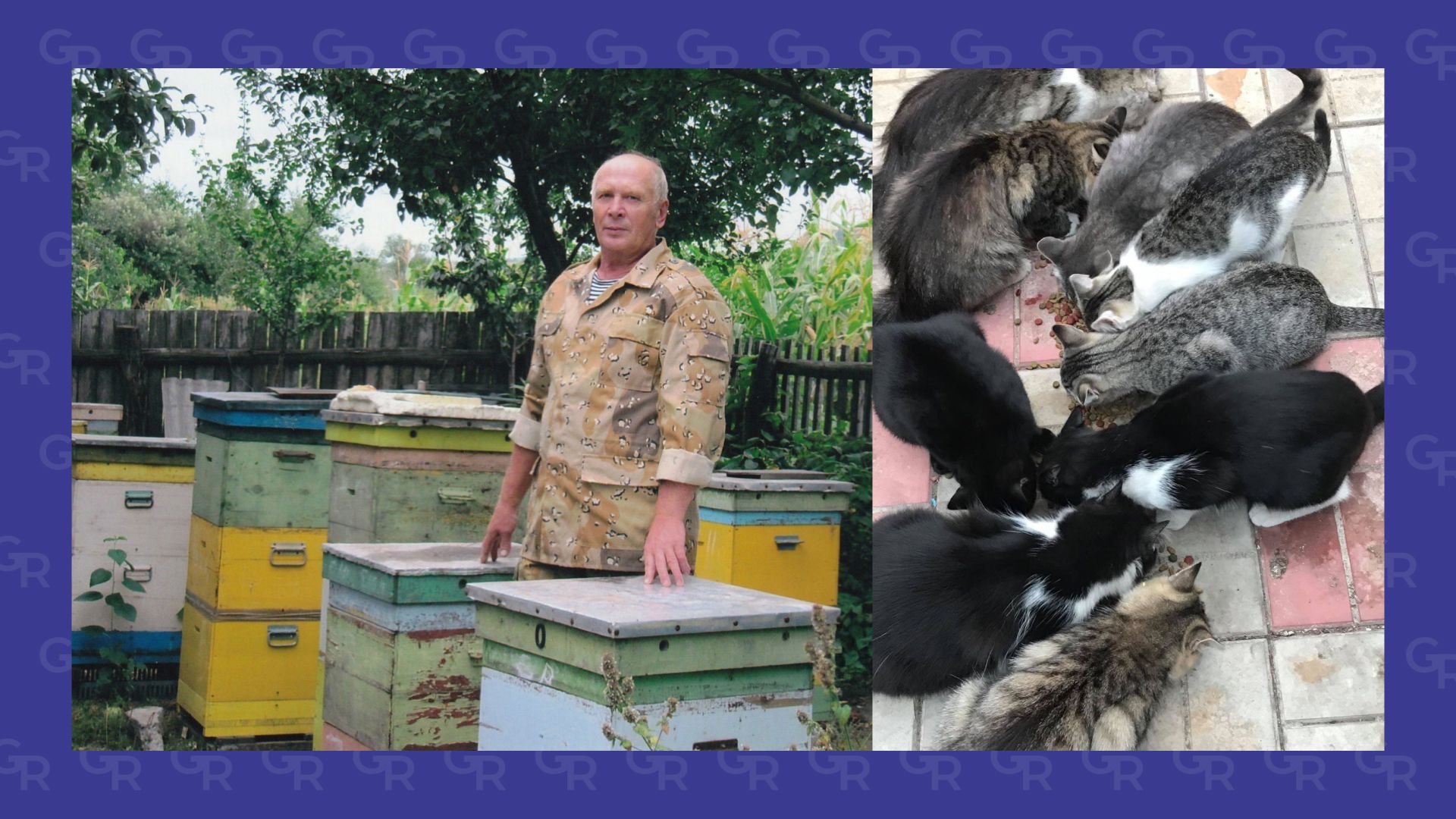 Віктор Михайлович Пінченко і його пасіка та коти. Колаж Ірини Мироненко Коти живуть у вуликах, а бджоли носять мед і між тривог. Історії Віктора Пінченка на порталі Gromada Group