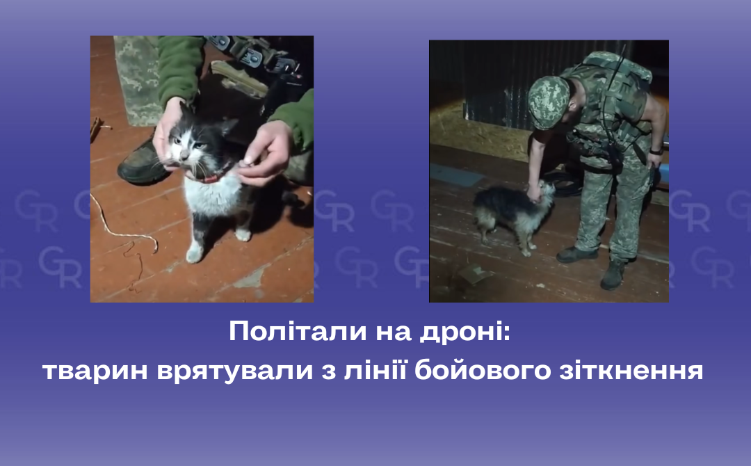 Gromada group media news