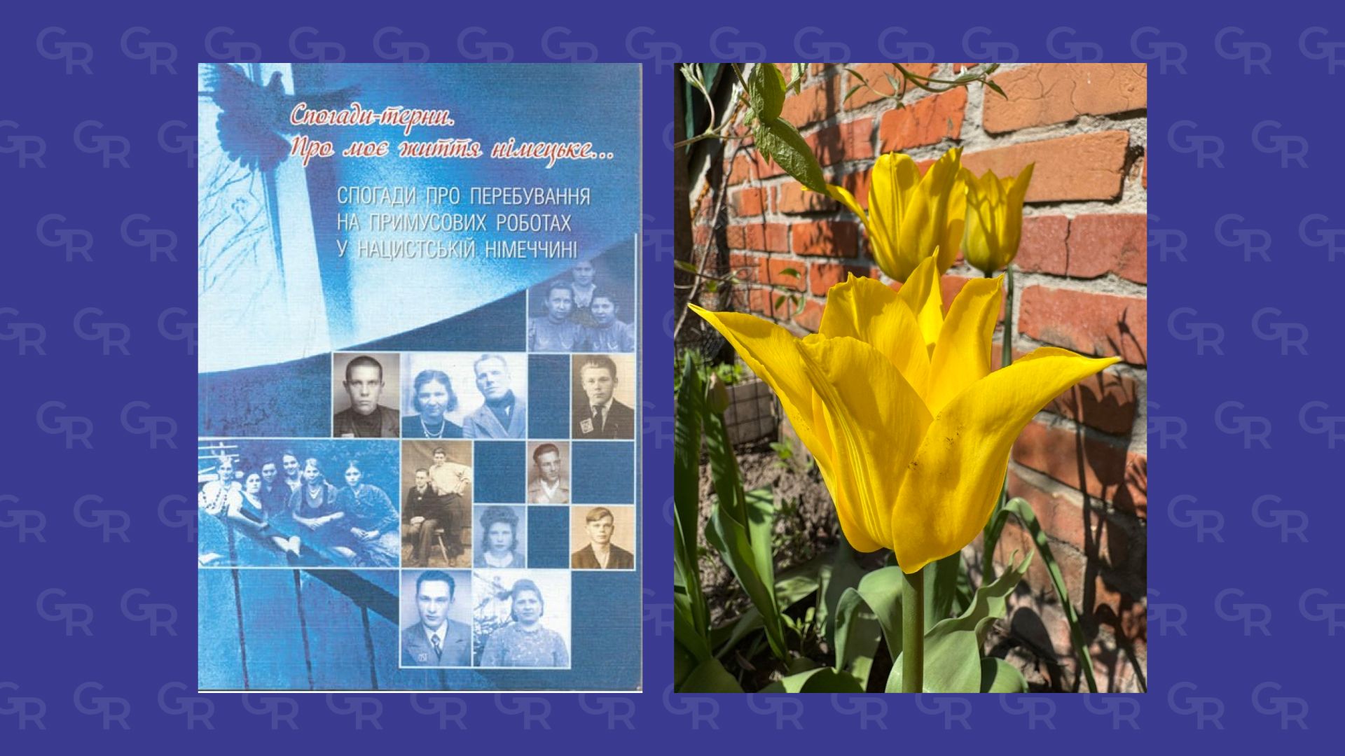Gromada group media news