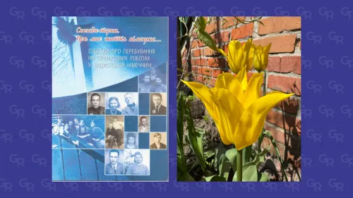 Спогади нововодолажців-остарбайтерів  - так само про втрату рідного дому, як і в нинішніх біженців на порталі Gromada Group