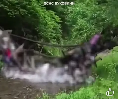 Через падіння моста на Буковині постраждали діти з Харківщини (ВІДЕО) на порталі Gromada Group