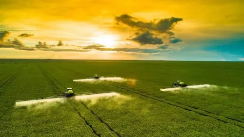 Одноразова фінансова допомога сільськогосподарським виробникам: прийом заявок стартує з 14 липня на порталі Gromada Group