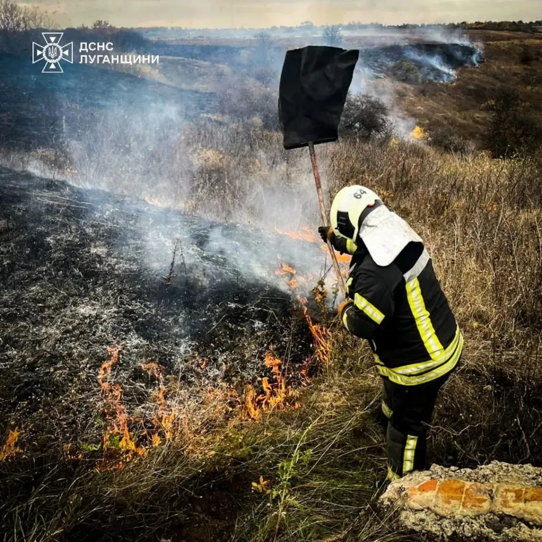 Фото: ДСНС Луганщини У Таранівці вонеборці ліквідували пожежу сухостою на порталі Gromada Group