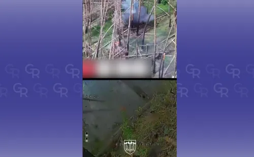 Дрони 127 ОМБР знищують окупантів у схованках на Липеччині на порталі Gromada Group