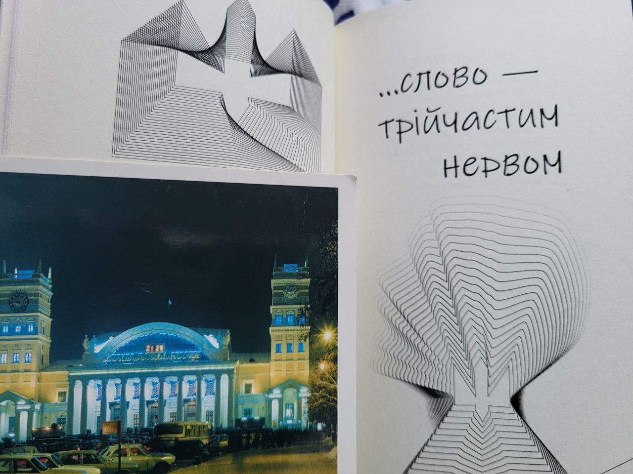 Головбух агрофірми із Сокаля - про час і свої вірші: «Бухгалтерія – краса і точність чисел, баланс і рівновага. Поезія – краса і точність слів» - фото 5