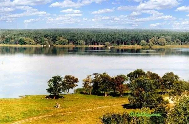 У зв’язку з великою посухою в 1946 році на Борівщині, як і в усій Україні, був небачений за останні десятиріччя неврожай. Цей рік був дуже важким для всіх, люди виживали як могли.