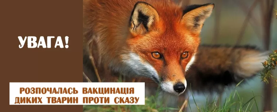 Приманки, які розмістять у різних районах, безпечні для людей і хижаків, але їх торкатися не треба.