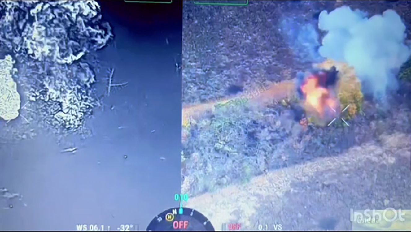 Скриншот з відео Поблизу Липців росіян збивають з дерев: хто розгледить — може йти на FPV-ішника на порталі Gromada Group