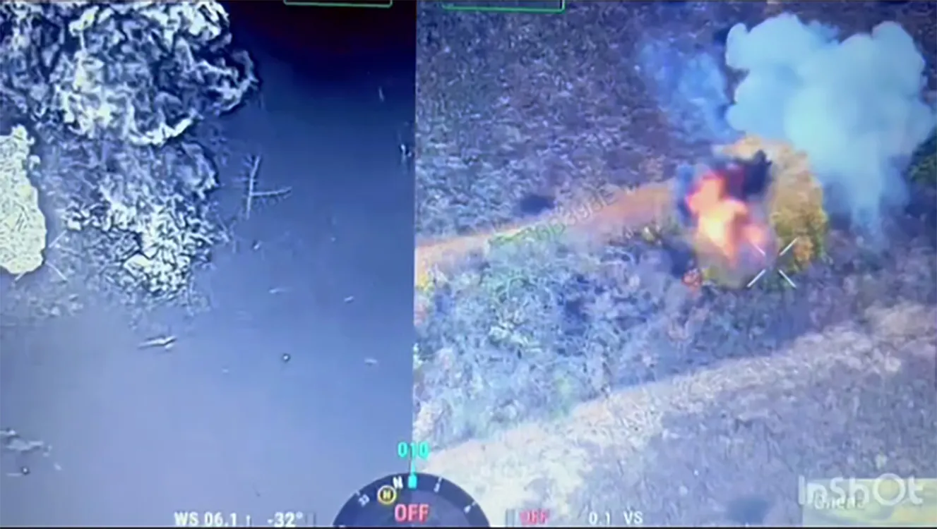 Скриншот з відео Поблизу Липців росіян збивають з дерев: хто розгледить — може йти на FPV-ішника на порталі Gromada Group