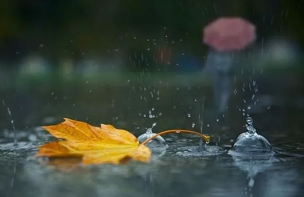 Due to heavy rains, the first level of danger has been declared in six regions at the Gromada Group Media
