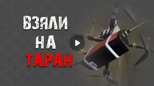 Відправили ворожий FPV-дрон у «вільне падіння» прямим тараном: добірку перехоплень на півночі Харківщини оприлюднив дивізіон MAD BEE на порталі Gromada Group
