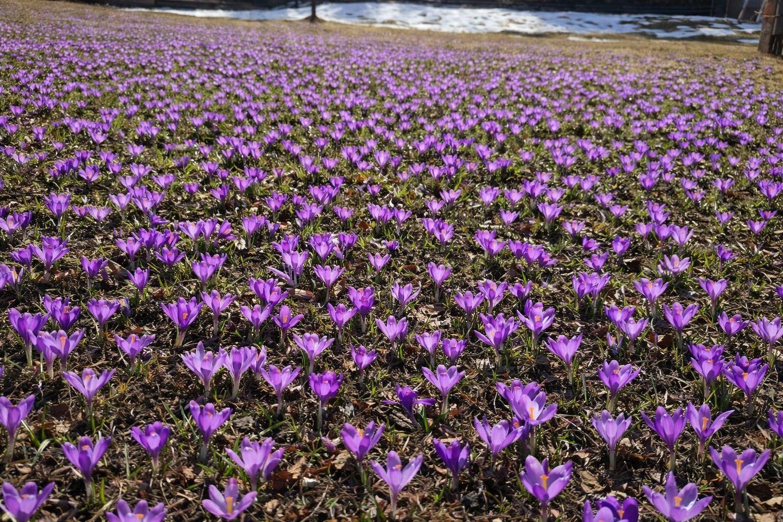 Gromada group media news