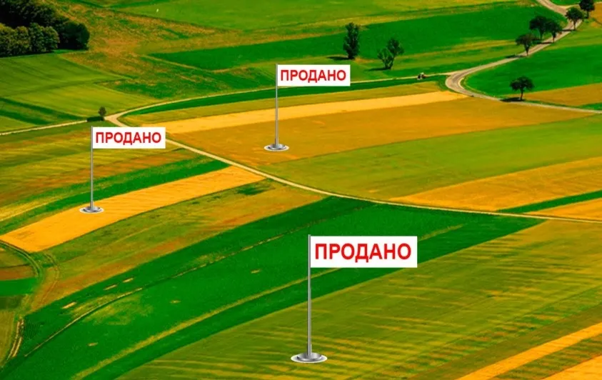 The most expensive land is sold in Ivano-Frankivsk, Lviv, and Kyiv regions – OpenDataBot at the Gromada Group Media