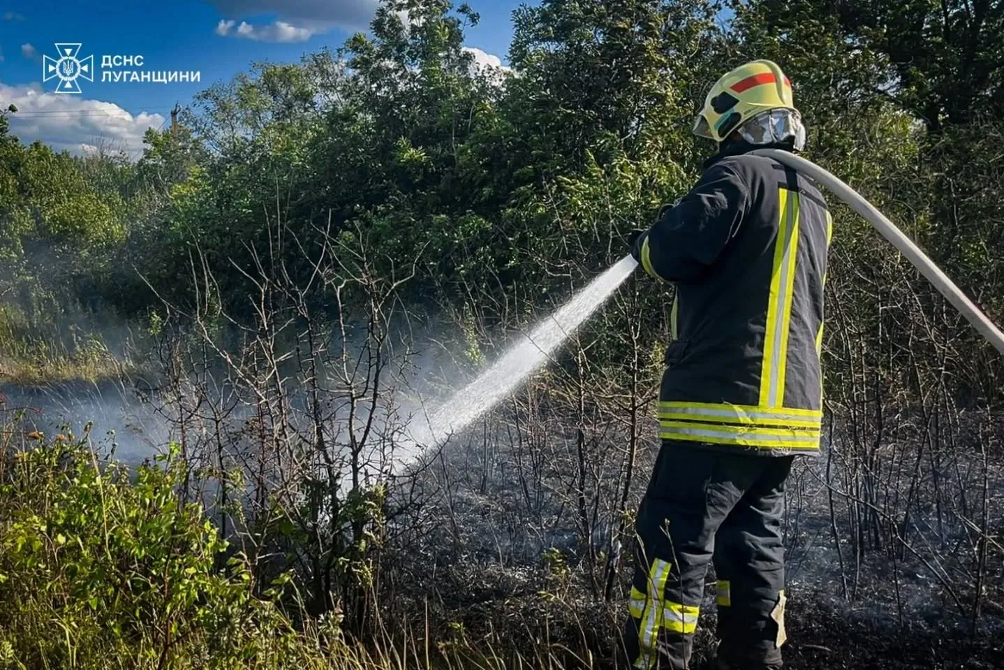 Фото: фейсбсук / Головне управління ДСНС України у Луганській області Поблизу Таранівки Зміївської громади вогнеборці ліквідували пожежу на відкритій території на порталі Gromada Group