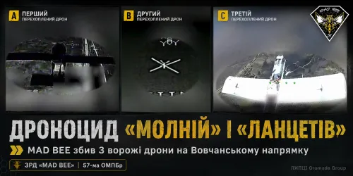 MAD BEE показав перехоплення трьох російських дронів на півночі Харківщини на порталі Gromada Group