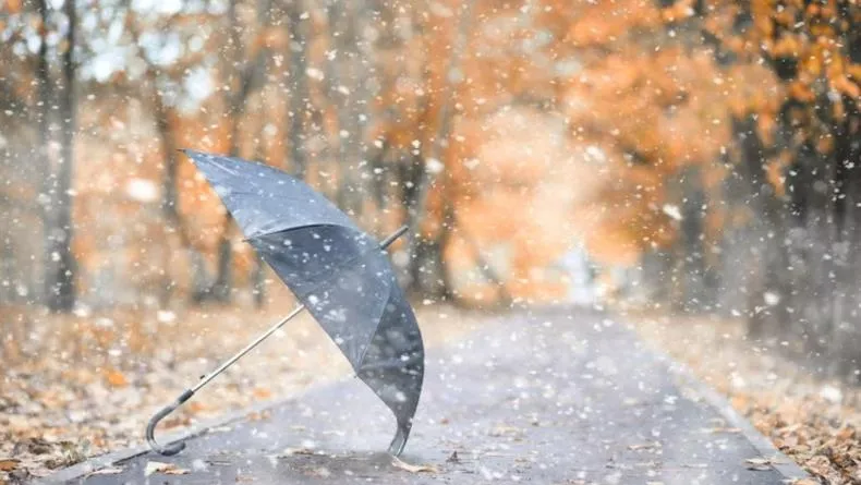 В Україну йде похолодання: коли чекати снігу на порталі Gromada Group