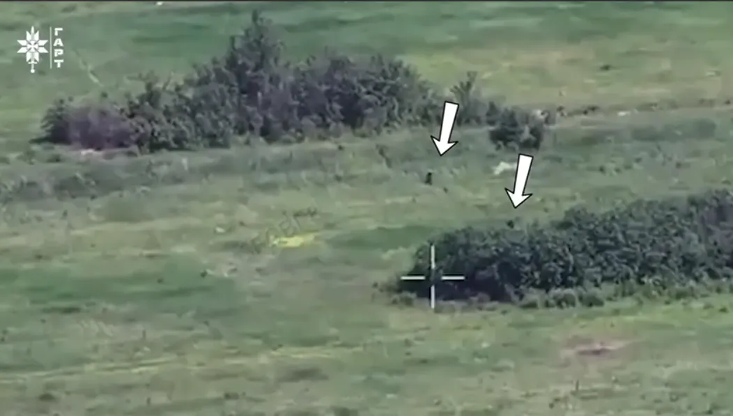 Скриншот відео бригади «Гарт» Прикордоники «Гарту» працюють по ворожих дрг на Вовчанщині на порталі Gromada Group