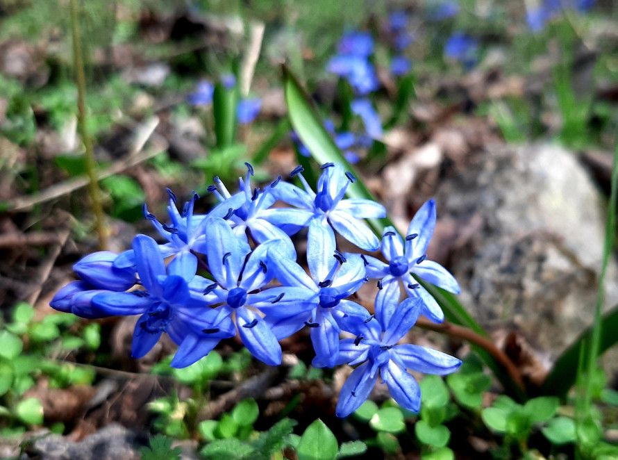 Gromada group media news